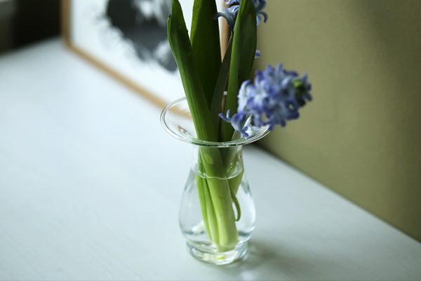 ヒヤシンスなどの球根の水耕栽培ができる、おしゃれなガラスの花瓶
